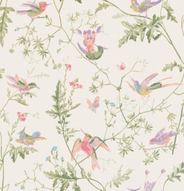 cole-and-son-archive-anthology-hummingbirds-100-14067-lr