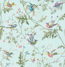cole-and-son-archive-anthology-hummingbirds-100-14069-lr