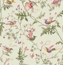 cole-and-son-archive-anthology-hummingbirds-100-14070-lr