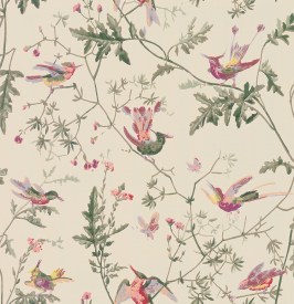 cole-and-son-archive-anthology-hummingbirds-100-14071-lr